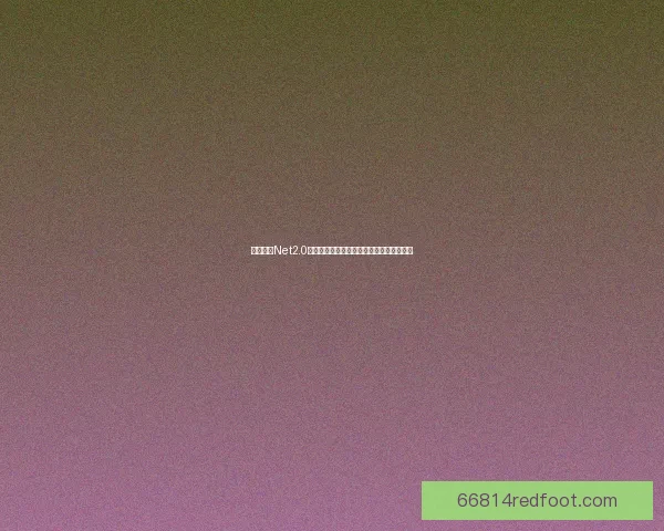 如何通过Net2.0下载实现高效资源获取与管理技巧详细解析