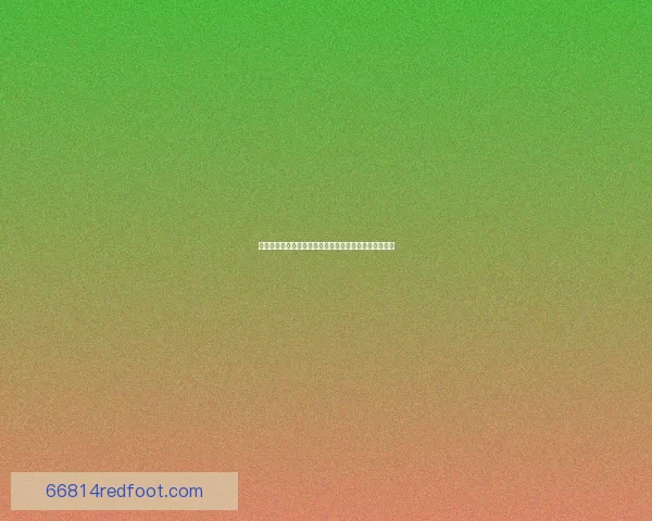 学者二转：从学术研究到实践应用的跨界转型与价值探索